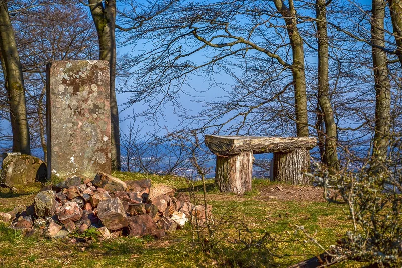 Roth Consulting Erfolgsgeschichte